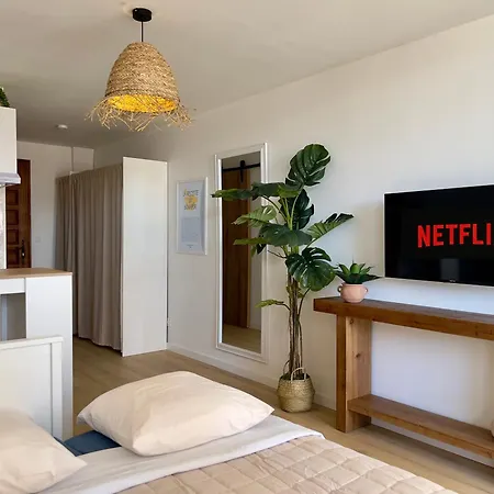 De Noelle Appartement